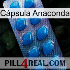 Cápsula Anaconda viagra1